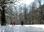 /Ski/2009/Images/1638/Photo 079Icon.jpg